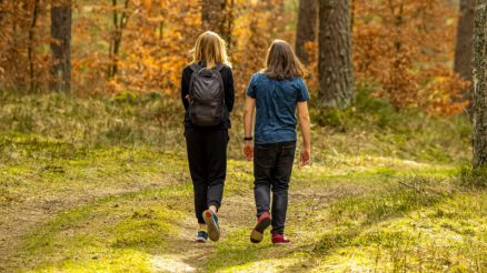 Trail Walking Vs. Urban Walking: Which Is Better?