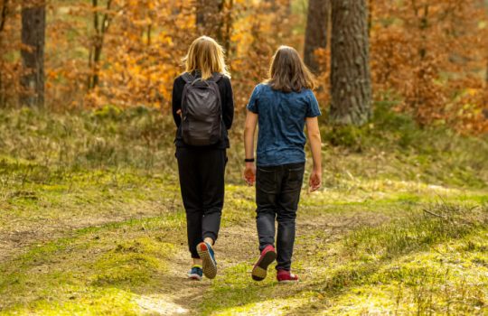 Trail Walking Vs. Urban Walking: Which Is Better?