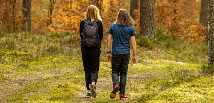 Trail Walking Vs. Urban Walking: Which Is Better?